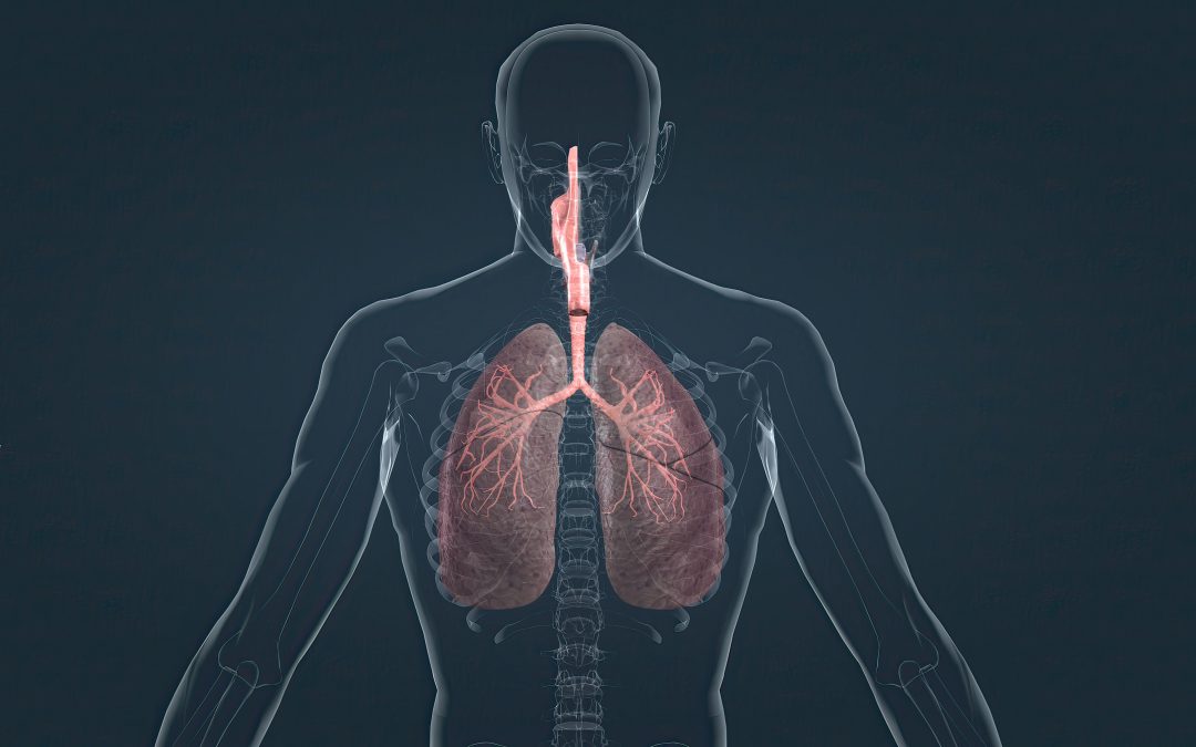 Il freddo lascia “scoperti” i polmoni: 5 mosse per proteggerli durante l’inverno