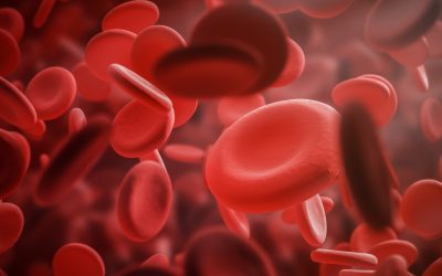 Beta-talassemia e anemia falciforme: nuovi dati di efficacia a lungo termine per la terapia genica
