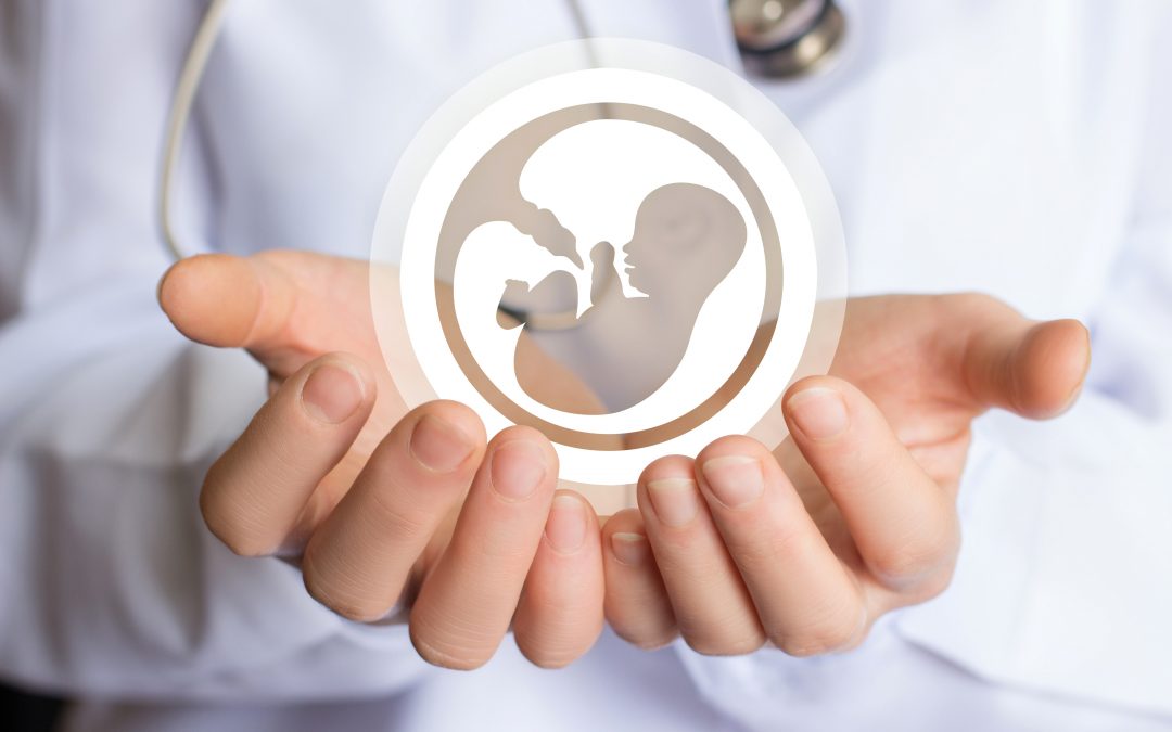 Giornata contro il cancro del 4 febbraio: la SIRU richiama l’attenzione sull’importanza di preservare la fertilità nei pazienti in età riproduttiva