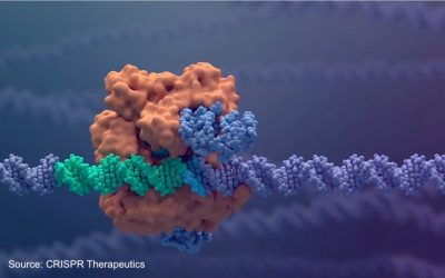 La Commissione Europea approva la prima terapia di editing genico basata su CRISPR/Cas9 per il trattamento della beta-talassemia e dell’anemia falciforme